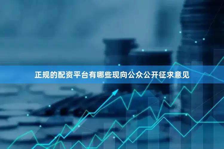 正规的配资平台有哪些现向公众公开征求意见