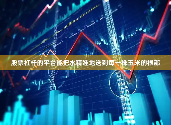 股票杠杆的平台能把水精准地送到每一株玉米的根部